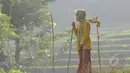 Nenek Anami, wanita yang diperkirakan berusia 140 tahun, terlihat masih bugar saat berjalan di sekitar rumahnya di Kampung Burung Sarang,Desa Cisarua, Kecamatan Tegalwaru, Kabupaten Purwakarta, Jawa Barat, Minggu (17/5). (Liputan6.com/Herman Zakharia)