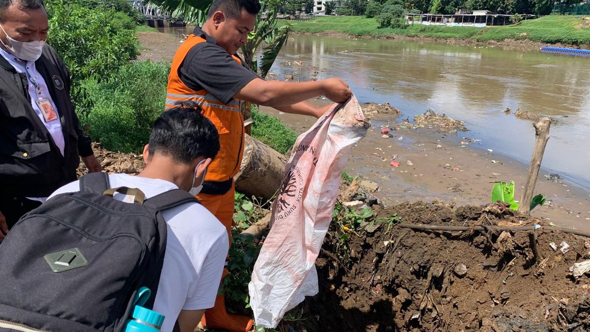 Cara Tak Biasa Atasi Ledakan Ikan Sapu-Sapu, Kenapa Harus Dikubur?