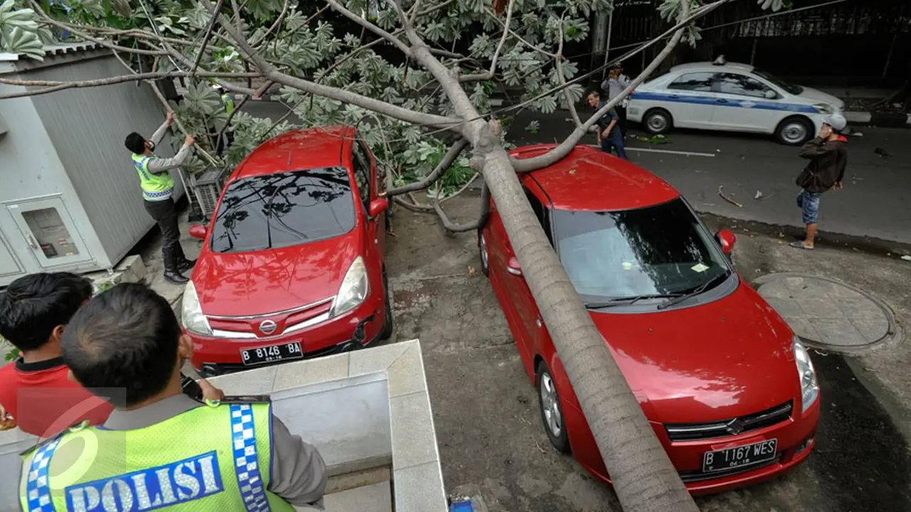20151215-Angin kencang Landa Jakarta, Pohon Tumbang Timpa Mobil di HI