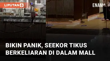 Aksi seekor tikus berkeliaran di dalam Mall mengundang perhatian