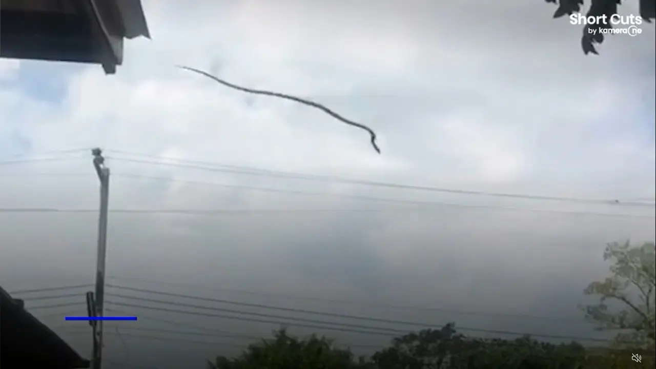 Ular bisa terbang
