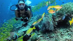 Keindahan laut Raja Ampat memang tak perlu diragukan lagi. Widika pun bertemu dengan banyak spesies laut seperti saat bertemu dengan ikan berwarna kuning di sekitarnya. Aktris yang membintangi Sebelum Iblis Menjemput Ayat 2 ini terlihat sangat menikmati divingnya. (Liputan6.com/IG/@wdkds)