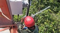 XL Axiata mengujicobakan solusi broadband Huawei RuralStar Pro di daerah terpencil di Kalimantan (Foto: XL Axiata).