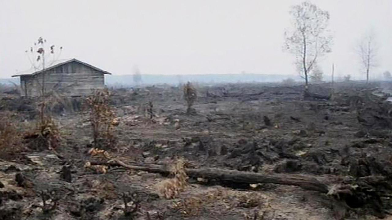 WARGA BAKAR LAHAN-140305b