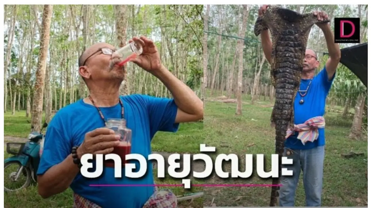 Seorang pengusaha asal Thailand meminum darah buaya agar tetap bugar (Tangkapan layar dari website Ghanamma.com)