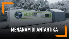Kini di Antartika Bisa Tanam Buah dan Sayuran