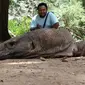 Kepala Balai Taman Nasional Komodo Budi Kurniawan mengklaim masalah sampah di kawasan wisata Pulau Komodo sudah mulai terkendali dengan dukungan berbagai skema penanganan yang diterapkan.