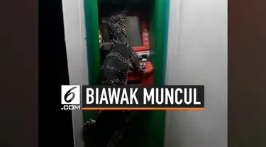 Sebelumnya, media sosial dihebohkan dengan foto-foto biawak yang memanjat pagar rumah warga. Kini, seekor biawak kembali muncul dengan menempel di sebuah mesin ATM di Thailand.