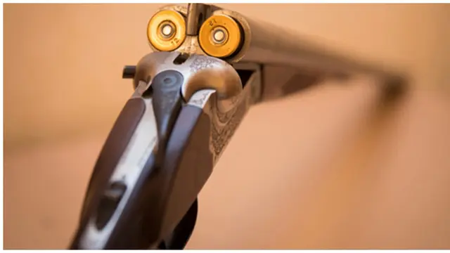 Foto : copyright listverse.com