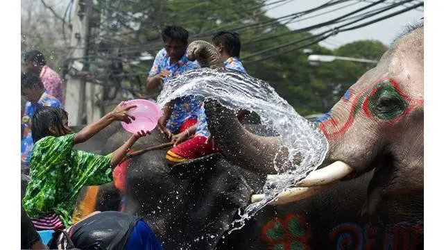 Pemerintah setempat meminta agar festival tahun ini diadakan dengan sedikit menghemat air.