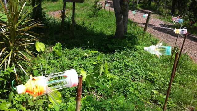 Begini 7 Kegunaan Botol Plastik Bekas yang Anti-mainstream