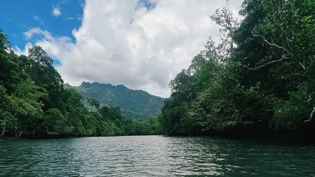 Prilly Latuconsina Berpetualang di Hutan Mangrove Kaimana Papua Barat, Menikmati Keindahan Alam