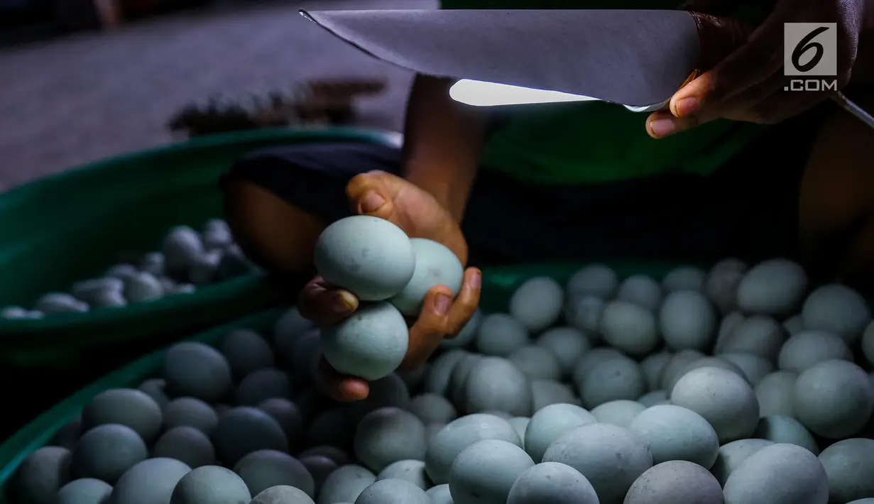 Warga mengecek kualitas telur asin sebelum dipasarkan di rumahan telur asin Cah Angon, Limbangan, Brebes, Jawa Tengah, Minggu (2/7). Produksi telur asin mengalami peningkatan selama musim mudik lebaran hingga 80 %. (Liputan6.com/Faizal Fanani)