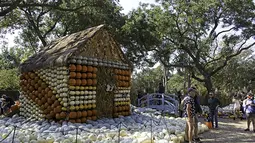 Orang-orang berfoto di depan rumah labu di Desa Labu Dallas Arboretum, Texas, Amerika Serikat, 4 Oktober 2020. Desa Labu di Dallas Arboretum yang mendapat pengakuan nasional menghadirkan rumah-rumah labu dan berbagai objek kreatif dari 90.000 lebih labu, kundur, dan squash. (Xinhua/Dan Tian)