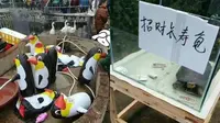 Balon penguin di kebun binatang kota Yulin yang jadi bulan-bulanan netizen di media sosial (Weibo)