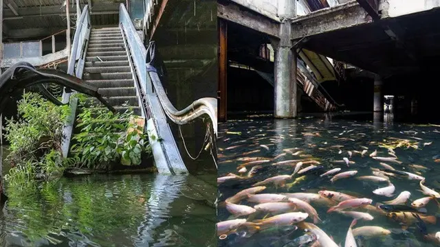 6 Foto Ini Buktikan Alam Menguasai Kehidupan, Bikin Geleng-geleng
