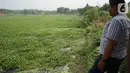 Warga melihat Setu Pengarengan yang dipenuhi eceng gondok di kawasan Depok, Jawa Barat, Selasa (8/10/2019). Tidak kunjung dibersihkan menjadi penyebab seluruh permukaan setu tersebut dipenuhi tanaman eceng gondok. (Liputan6.com/Immanuel Antonius)