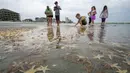 Orang-orang bermain dengan bintang laut yang terdampar di Garden City Beach, South Carolina, Amerika Serikat, Senin (29/6/2020). Kehadiran ribuan bintang laut yang terdampar menyita perhatian warga serta wisatawan untuk mengembalikan mereka ke laut. (Jason Lee/The Sun News via AP)