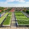 Pertanian Hidroganik, Jurus Jitu Ketahanan Pangan dan Urban Farming di Palu