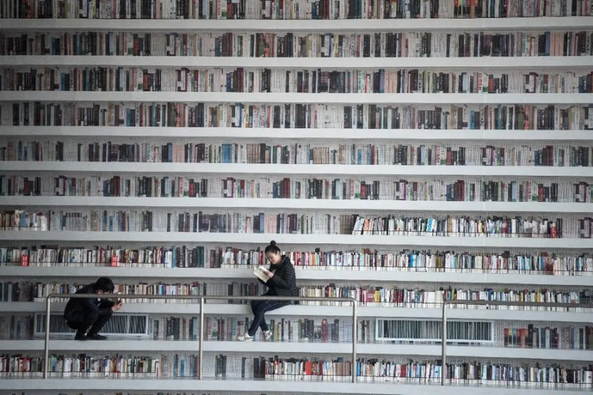 Ilustrasi Perpustakaan (AFP Photo)