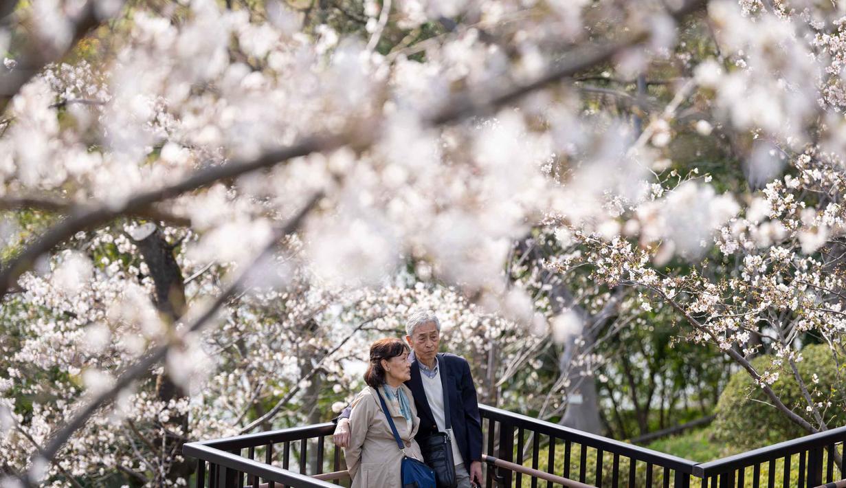 Sakura juga merupakan bunga nasional Jepang dari genus Prunus yang mekar pada musim semi dan menjadi simbol kehidupan, kefanaan, serta keindahan yang tidak kekal. Tampak dalam foto, sepasang kekasih berbincang di bawah pohon sakura di sebuah taman di Tokyo pada Senin 30 Maret 2026. (Yuichi YAMAZAKI/AFP)