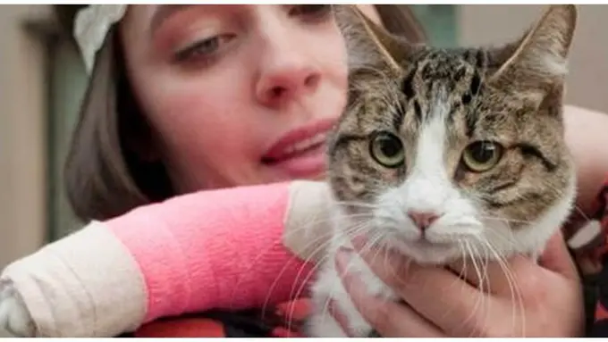 courtesy of dailymail.co.uk