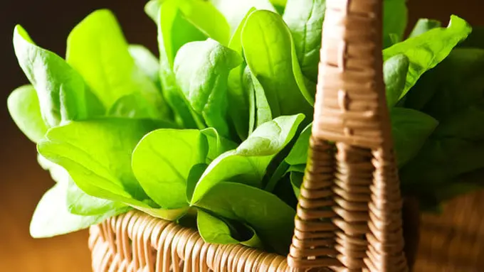 Courtesy ShutterStock.com