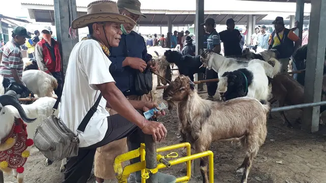 Menjelang Idul Adha, Salon Kambing milik Ahmad Cirko Minarjo (60) di Pasar Kambing Karangpucung, Cilacap, kebanjiran order. (Foto: Liputan6.com/Muhamad Ridlo)