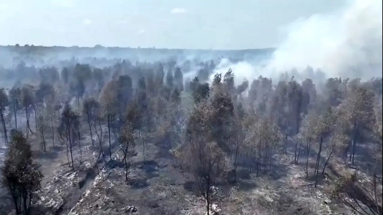 Kebakaran hutan dan lahan (karhutla).