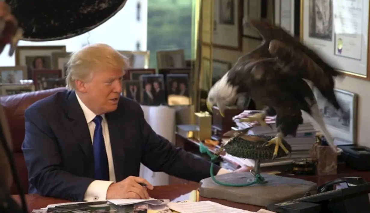 Kandidat calon presiden AS, Donald Trump berusaha menenangkan burung elang botak saat sesi pengambilan foto di kantor Majalah TIME untuk nominasi dia sebagai Person of the Year, Kamis (10/12). (REUTERS/TIME Magazine)