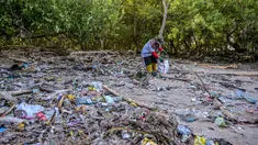 Seorang relawan dari Ecological Observation and Wetlands Conservation (ECOTON) mengumpulkan sampah plastik dari rawa bakau di Surabaya, Jawa Timur pada 26 Juli 2025. (Juni KRISWANTO/AFP)