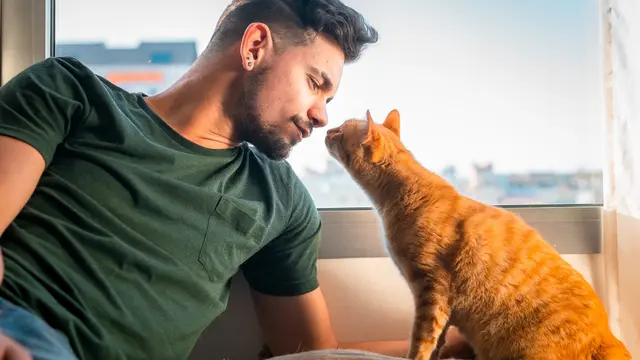 Bukan Ciuman, Ini Cara Menunjukkan Cinta pada Kucing Kesayangan