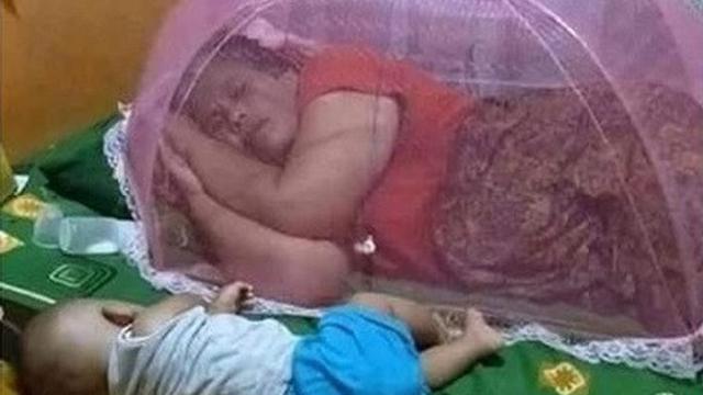 tingkah nyeleneh orangtua asuh anak