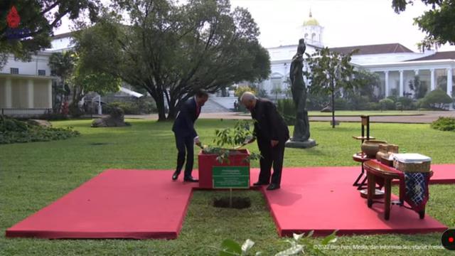 Presiden Jokowi dan Presiden Timor Leste Jose Ramos-Horta tanam pohon bersama