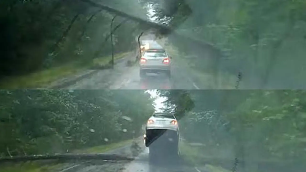 Mencekam, Pohon Tumbang Hampir Timpa Mobil Saat Badai Irma