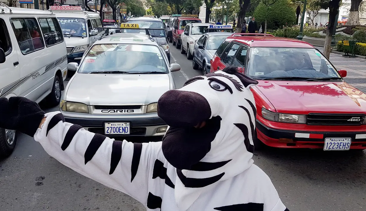 Warga berpakaian seperti zebra saat menyapa pengendara saat program pendidikan di jalan di La Paz, Bolivia,(5/12). (REUTERS/David Mercado)