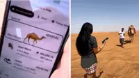 Beredar Video Viral 2 Wanita Pesan Uber Unta di Tengah Padang Pasir Dubai