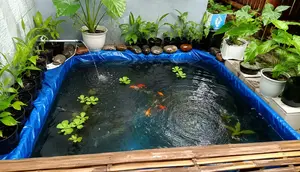 Cara Membuat Kolam Mini dengan Terpal di Halaman Rumah, Percantik Hunian