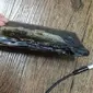 Samsung Galaxy Note 7 terbakar (Sumber: Ubergizmo)