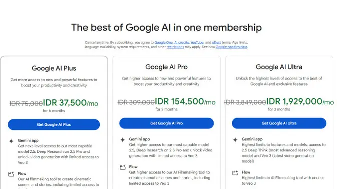  Google)</p>