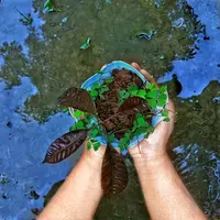 Nggak cuma bikin lemari lebih rapi, mode sirkular juga bisa membantu menjaga bumi! Lewat penggunaan ulang dan bahan ramah lingkungan, kita bisa hemat sumber daya alam dan kurangi limbah tekstil. (Foto dok: Freepik/EyeEm).