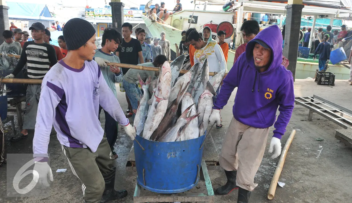 Nelayan membawa tangkapan ikan hiu hasil melaut ke pelelangan ikan, Karangsong, Indramayu, Jawa Barat, Kamis (16/6/2015). Meski sudah ada larangan perburuan dan perdagangan, nelayan setempat masih memperdagangkan sirip hiu. (Liputan6.com/Herman Zakharia)
