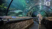 Petugas mengenakan pakaian pelindung menyemprotkan disinfektan area Sea World, Ancol, Jakarta, Sabtu (14/3/2020). Pembersihan Sea World dan Ocean Samudera guna mengantisipasi penyebaran virus corona (Covid-19). (Liputan6.com/Faizal Fanani)