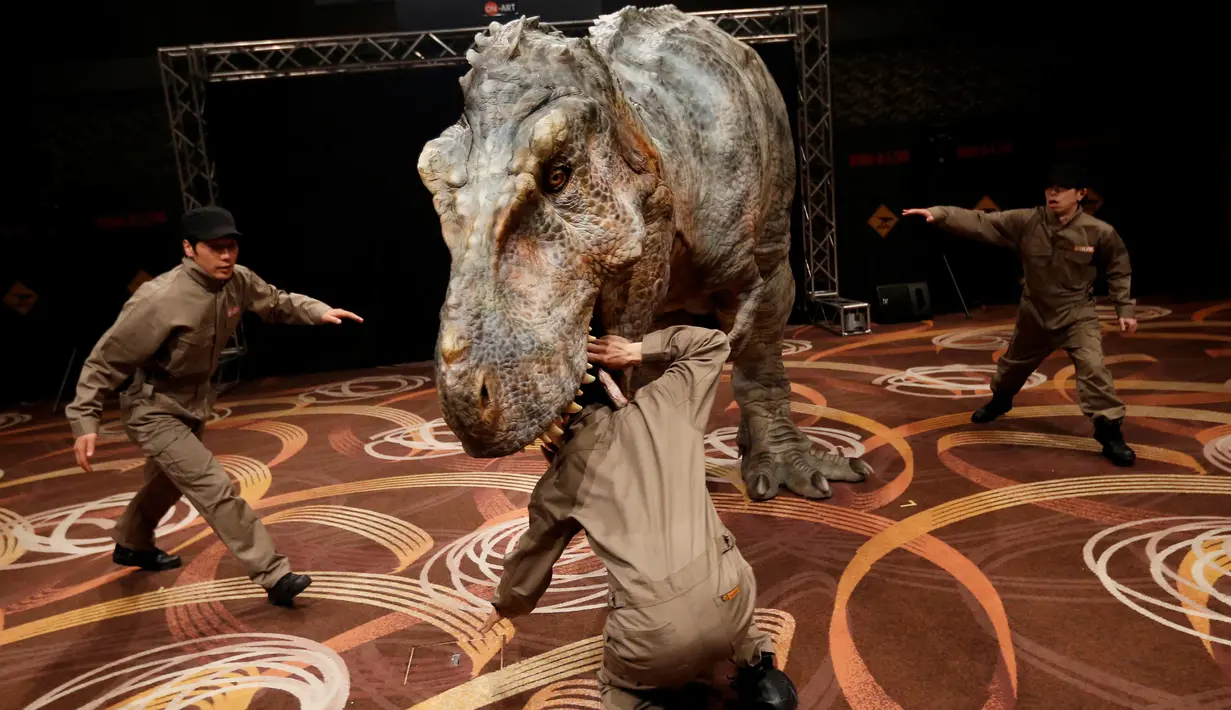 Robot dinosaurus "mengigit" seorang mekanik robot TRX03 di aula pertemuan sebuah hotel di Tokyo, Jepang, Kamis (10/11). Robot ini didesain mirip seperti aslinya, mulai kontur kulit, gerak jalan, hingga amukan hewan purba tersebut. (REUTERS/Toru Hanai)