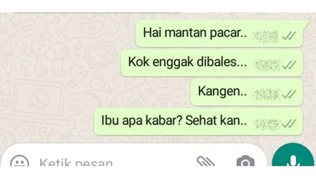 5 Chat Mantan Tanya Kabar Ibu Ini Bikin Baper