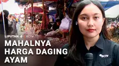 Mahalnya Harga Daging Ayam