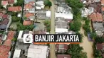 bidara cina thumbnail