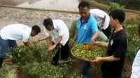 Petani di Sukabumi, Jawa Barat membuat pupuk organik hingga keramba ikan masyarakat pesisir Sulawesi Tenggara.