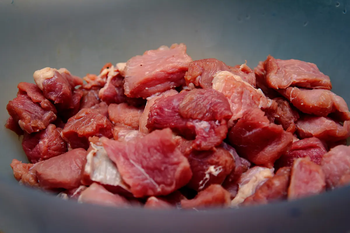 Ampela Ayam