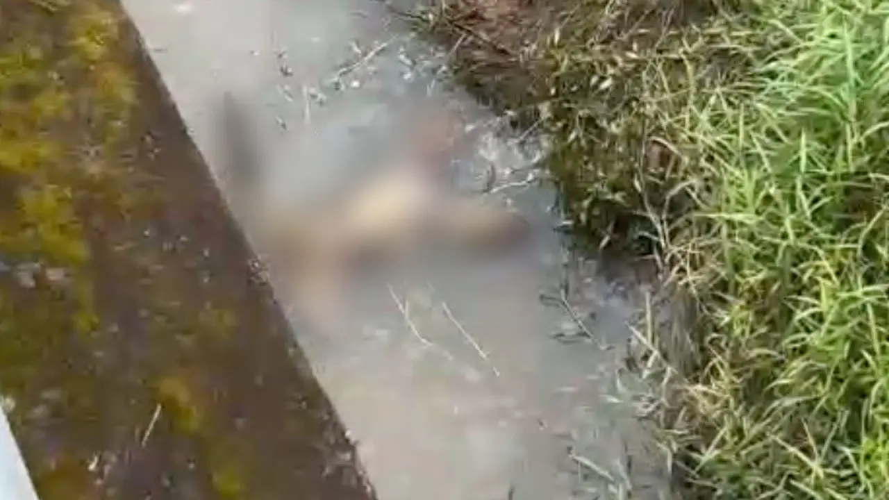 Jenazah perempuan korban pembunuhan di Sungai Enim